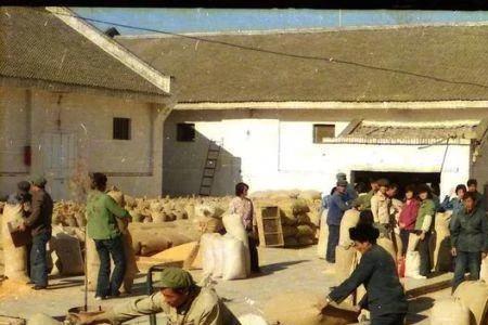 90年代交多少公粮
