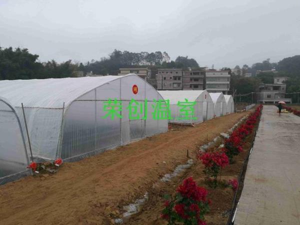 坑棚的建造方法