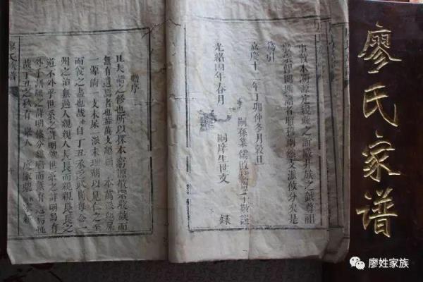 侍姓是什么世家