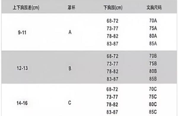 胸围28是什么杯