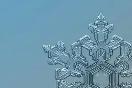 什么的雪花什么地指着