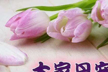 早安祝福语卡片