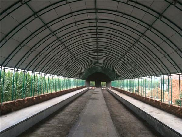 养猪大棚1000平方造价多少钱