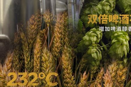 进口健力士和国产的区别