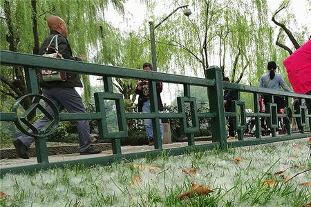 柳絮之才代表什么类型的人