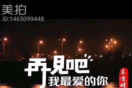 再见了我最爱的人是什么电视