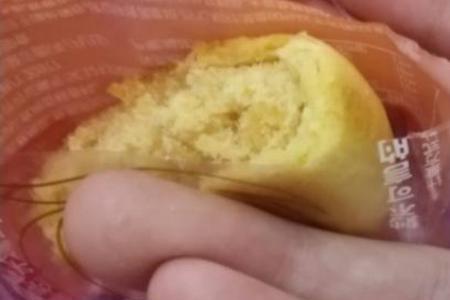淘宝买的东西有虫子怎么赔偿