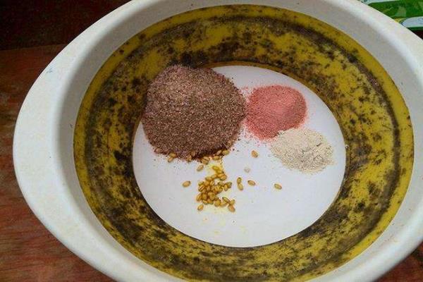 虾肉野钓鲫鱼的正确方法