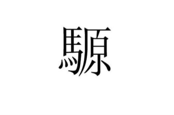 騵什么意思