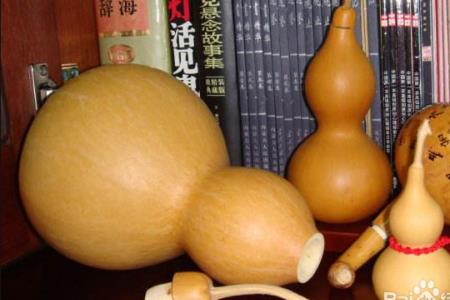 青葫芦能冷冻保存吗