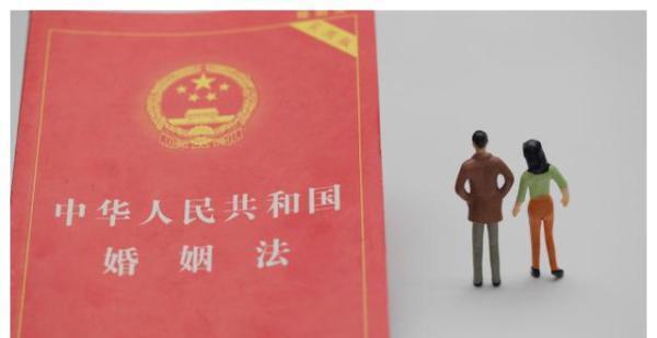 婚姻法第六十六条规定