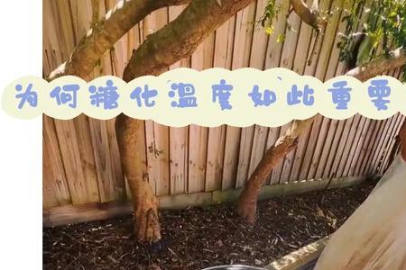 糖化温度升高还是发酵温度升高