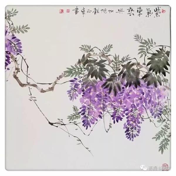 小秦国画紫藤花的画法分解