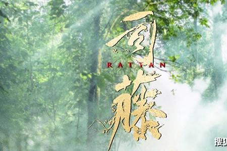 战隋的主角是谁