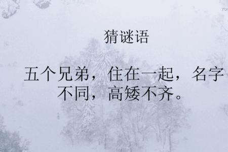 100-1谜底是什么