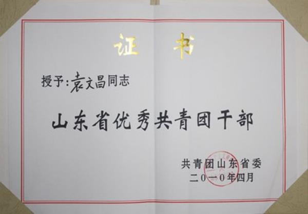 共青团最高称号