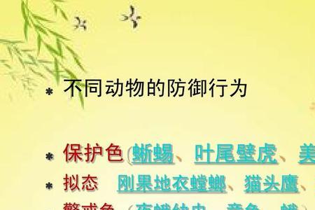 动物是怎样保护自己的宝宝