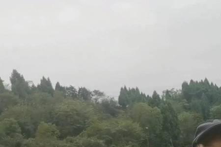 为什么金丝鱼嘴里都有鱼钩