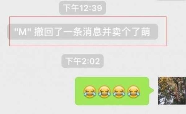 消息已读并撤回怎么取消