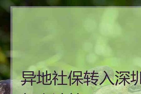 外地社保转到深圳退休怎么算