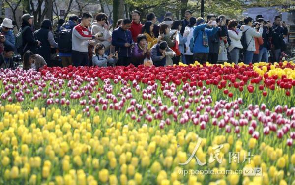 杭州牡丹展市民为什么要赏花