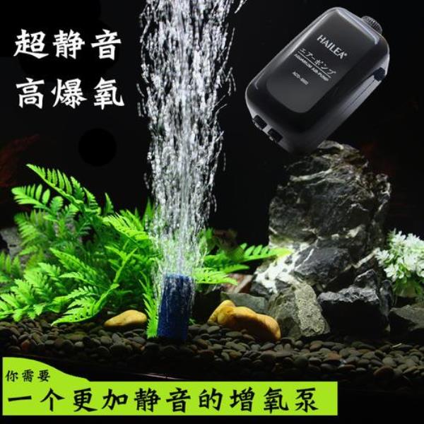 怎么用矿泉水瓶做鱼缸氧气泵