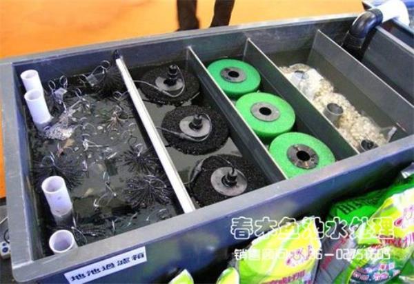 请教鱼池底部过滤怎么做