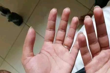 手的大小定义