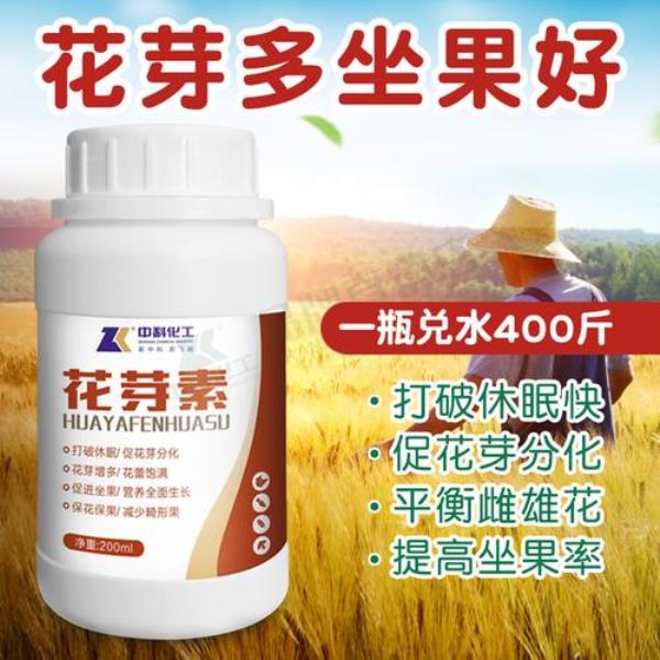 果树专用催花素
