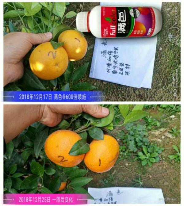 柑橘转色剂配方