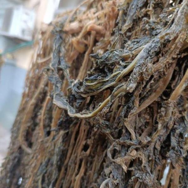 正宗梅干菜怎么晒