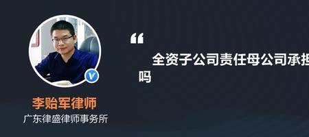 母公司控股子公司是什么行业