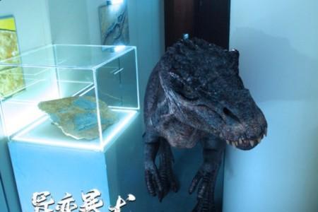 异变暴龙女主角是谁