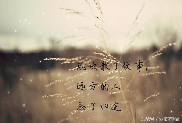 相识为晚是什么意思