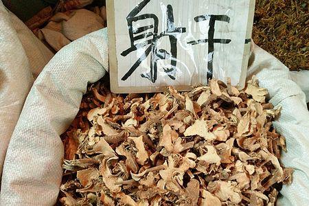 扁竹根一平方多少斤