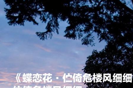 柳永先生排名老几