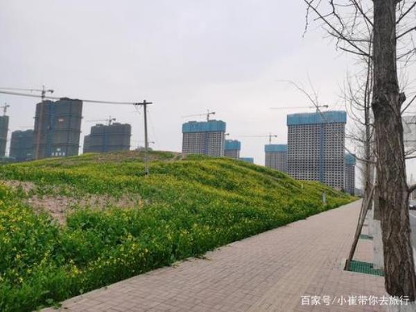 徐州哪边有花圃或花田