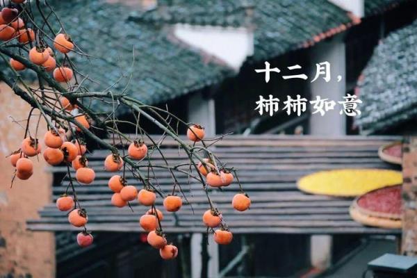 1988年腊月十一是哪天