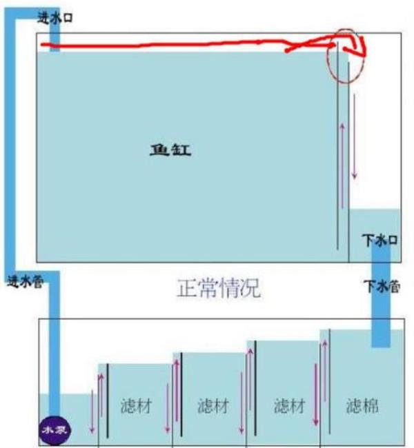 2-3平方的小鱼池过滤