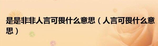 明理是非是什么意思