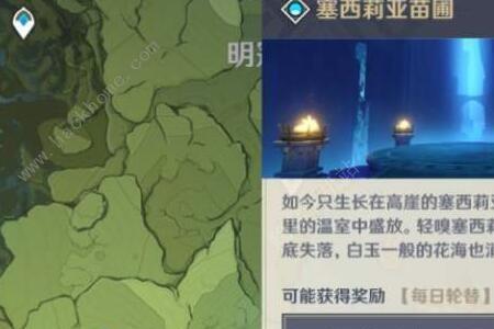 原神仲夏庭园封印怎么开启