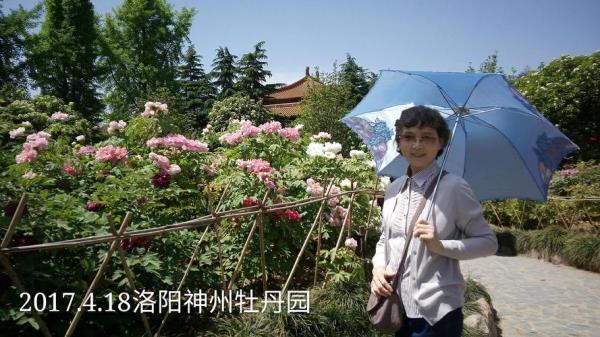 洛阳牡丹介绍