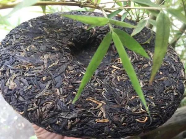 曼桂山普洱茶的优缺点