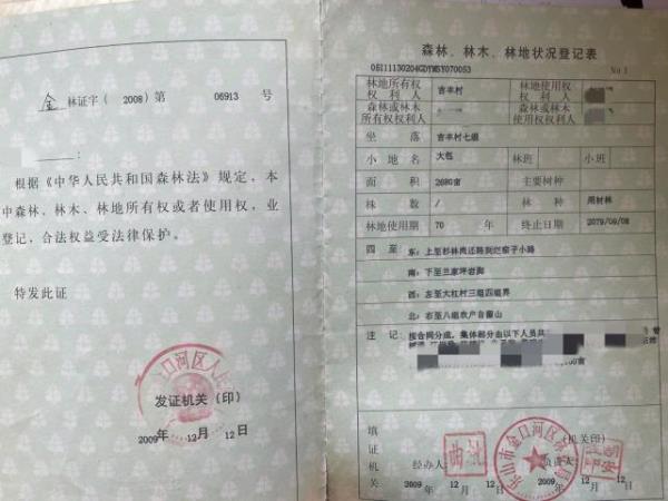 疏林地采伐需办理采伐证吗