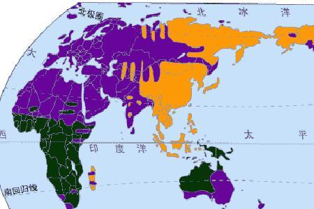 几种肤色人种