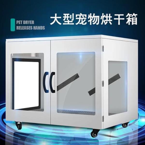 如何给长毛犬烘干被毛