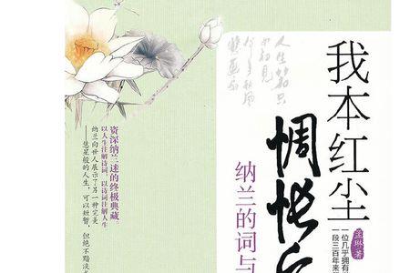 走遍红尘之客什么意思