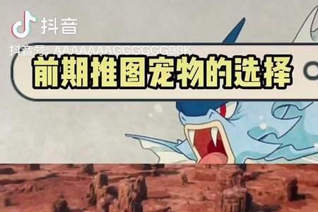 暴鲤龙努力值最佳分配