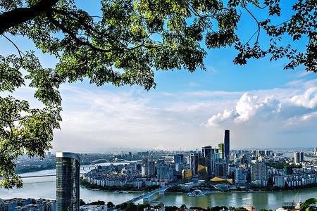 广西第三大城市