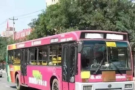 石家庄83路公交是停运了吗
